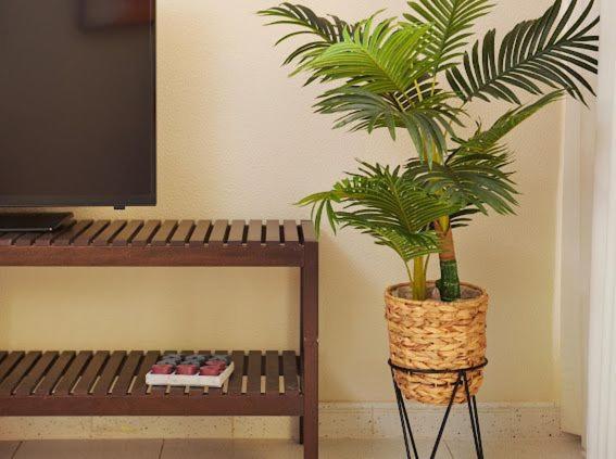 Cosy Apartment With Sea View And Pool 丰沙尔 外观 照片
